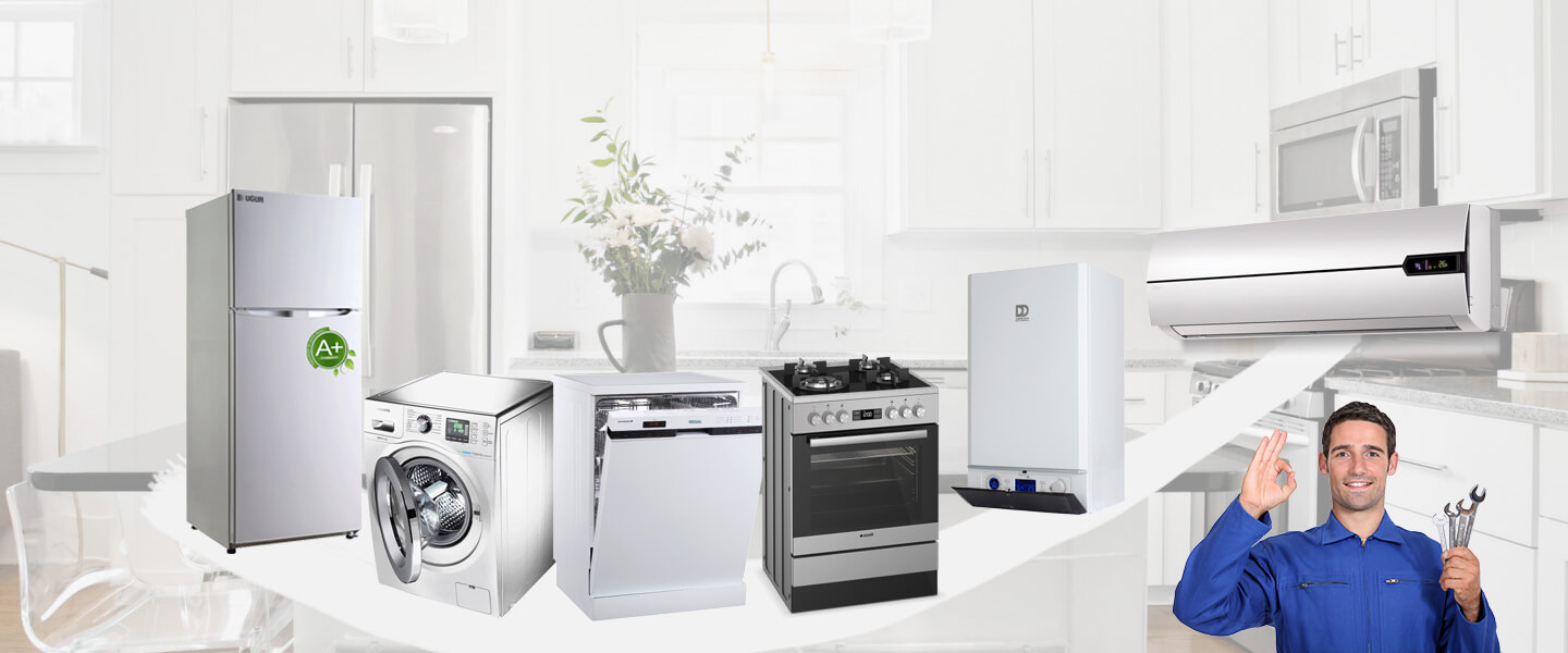 Doğançay Electrolux Servisi